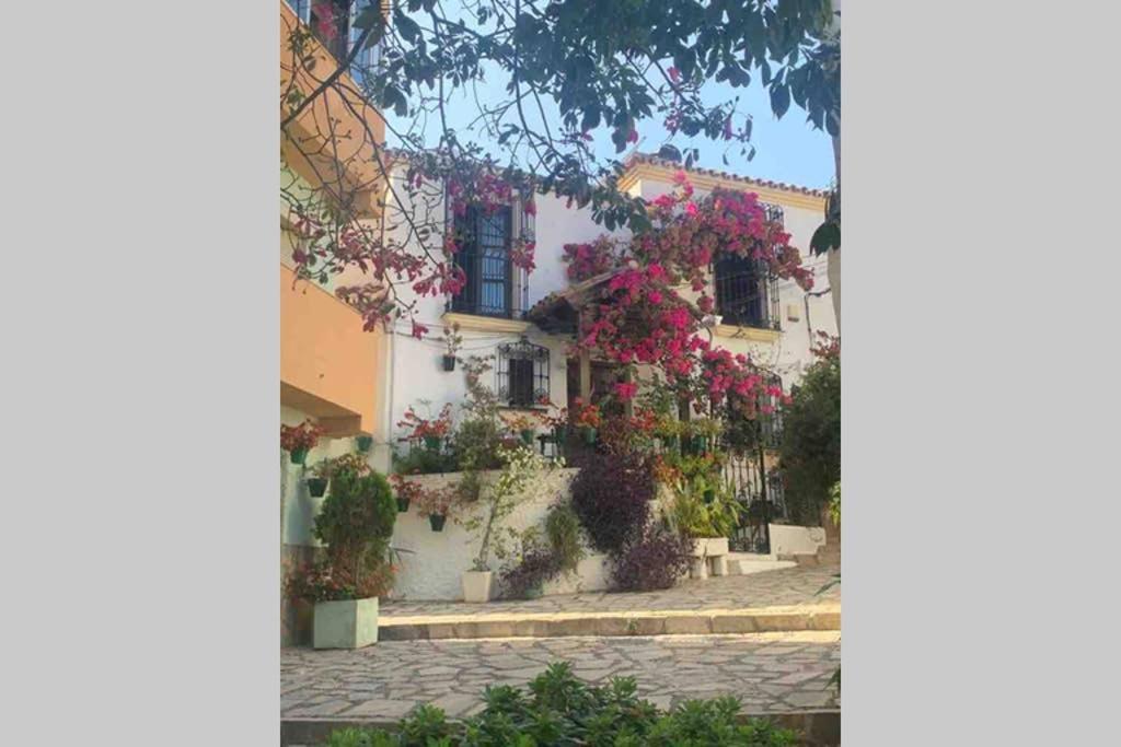 Appartement Palmeras Puerto Paraiso エステポナ エクステリア 写真